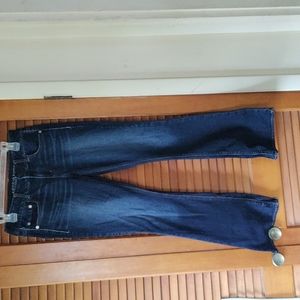 American Eagle outfitters women's size 4 artist denim jeans